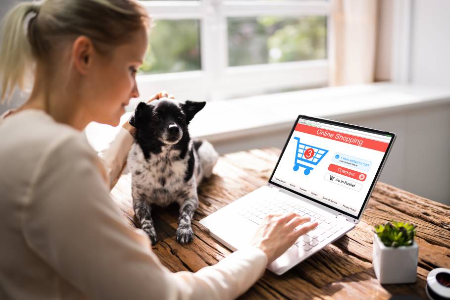 6 Tips to Keep in Mind When Shopping for Dog Products Online