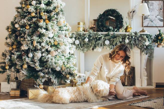 How to Keep Your Pets Calm During the Excitement of the Holidays