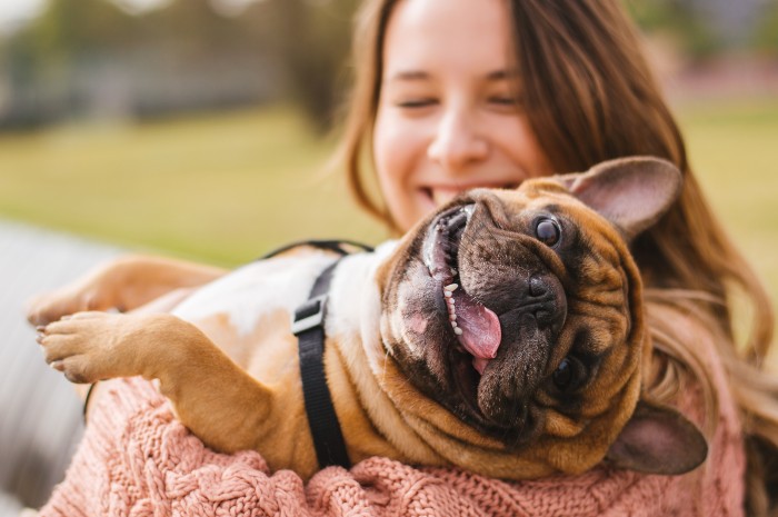 The Best State for Dog Owners