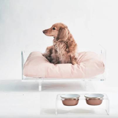 Get the Comfort Your Pup Deserves With Perfectly Fitting Custom Dog Beds