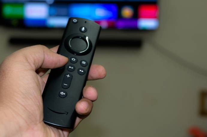 My Dog Ate Amazon Fire Remote What Should I Do?