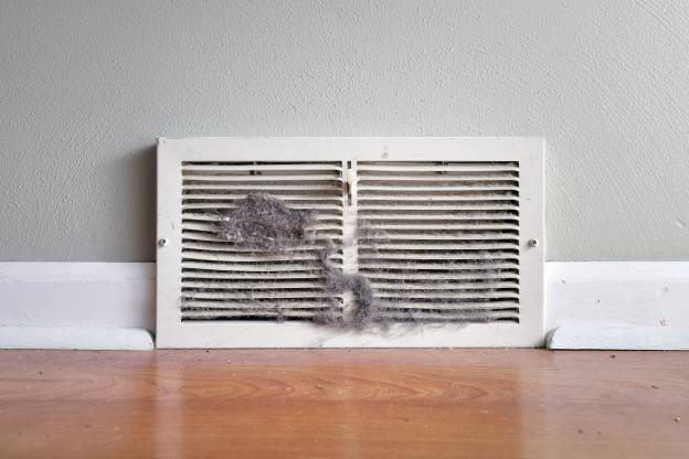 Are Carrier Air Filters Still The Best Option For Pet Owners