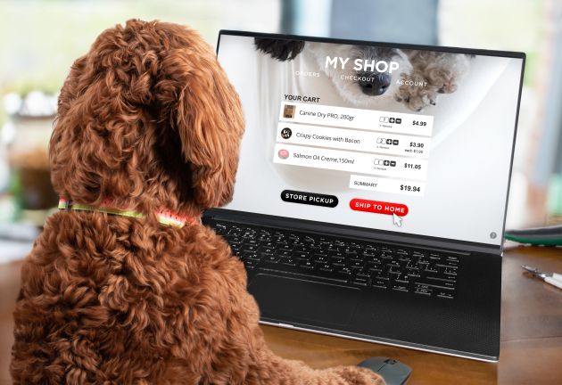 Most Popular Websites For Dog Owners In 2023