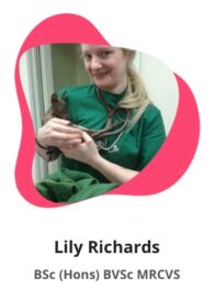 Lily Richards BSc (Hons) BVSc MRCVS