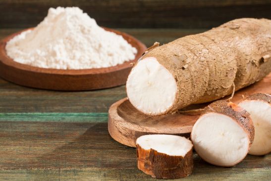 My Dog Ate Arrowroot Powder What Should I Do?