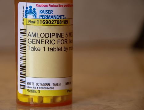 My Dog Ate Amlodipine What Should I Do?