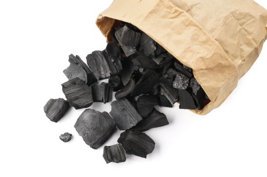My Dog Ate Artificial Coal What Should I Do?
