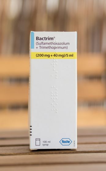 My Dog Ate Bactrim What Should I Do?