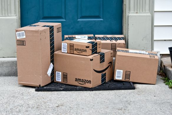 Dog Ate Amazon Package