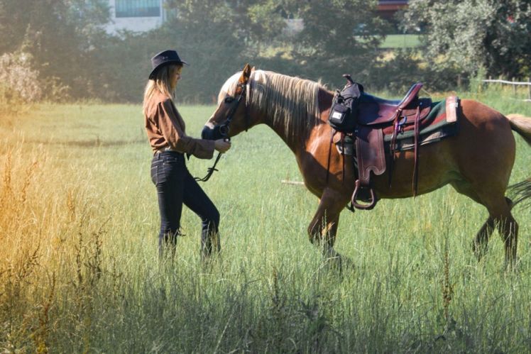 Bonding with Your Equine Partner: Developing a Connection in the Saddle