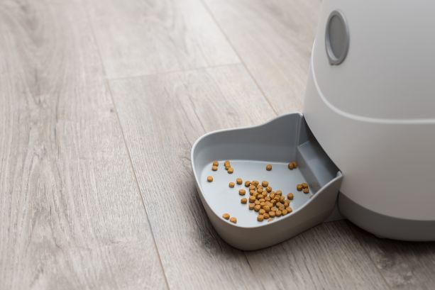 Best Smart Feeders For Your Pets